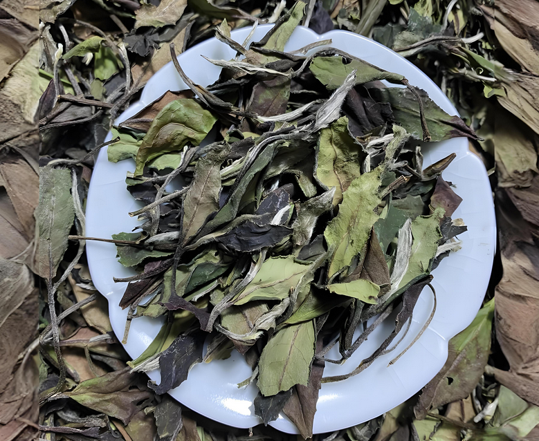 what is white tea