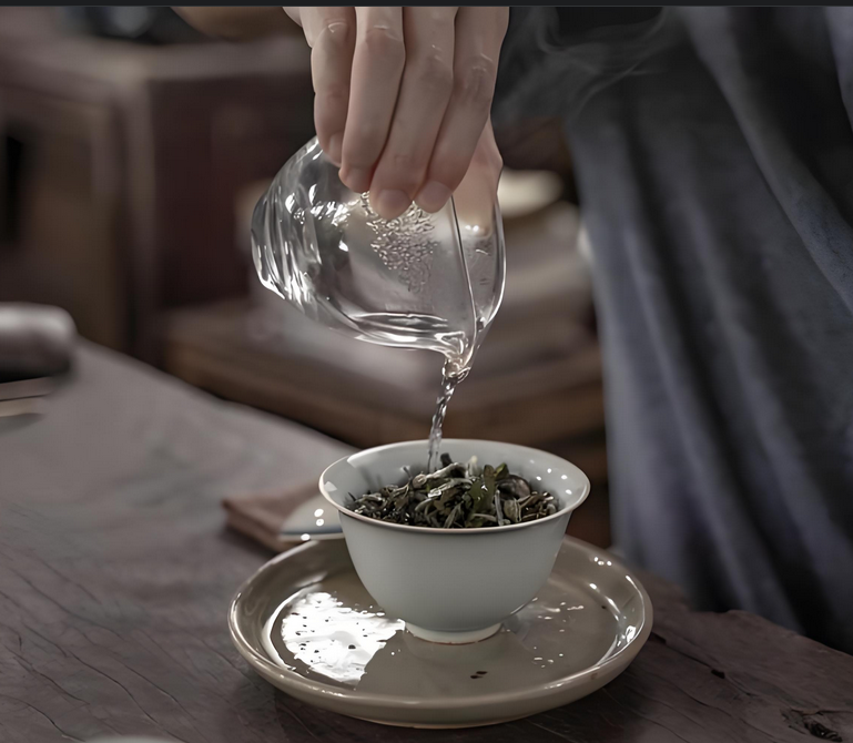 what is white tea