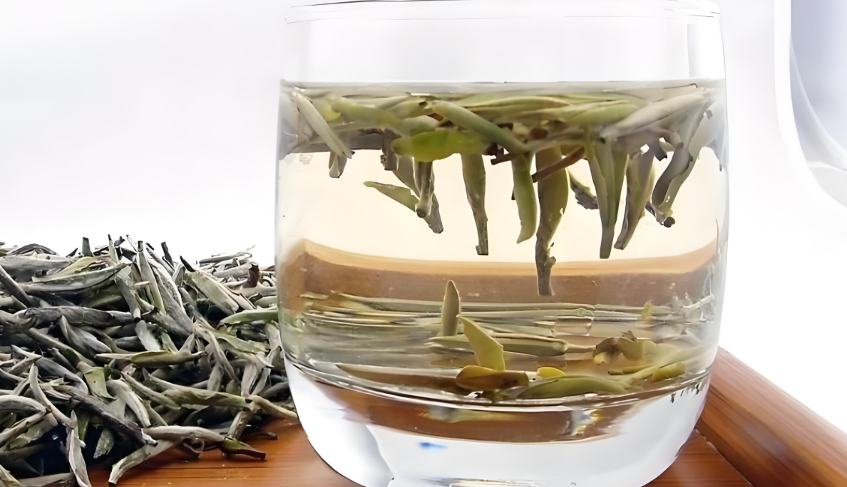 How to Brew White Tea