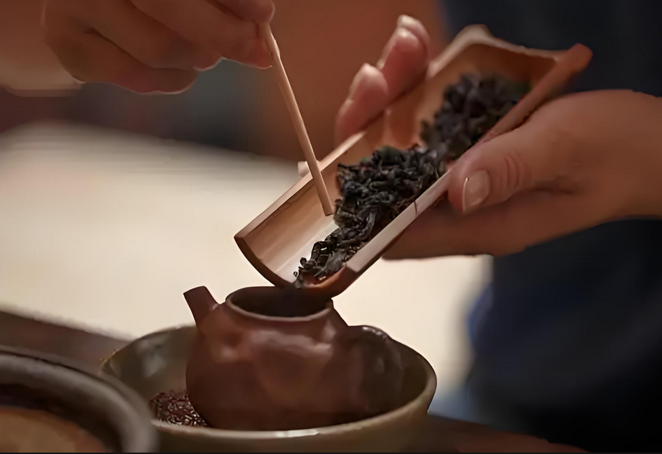 How to Brew Wuyi Rock Tea
