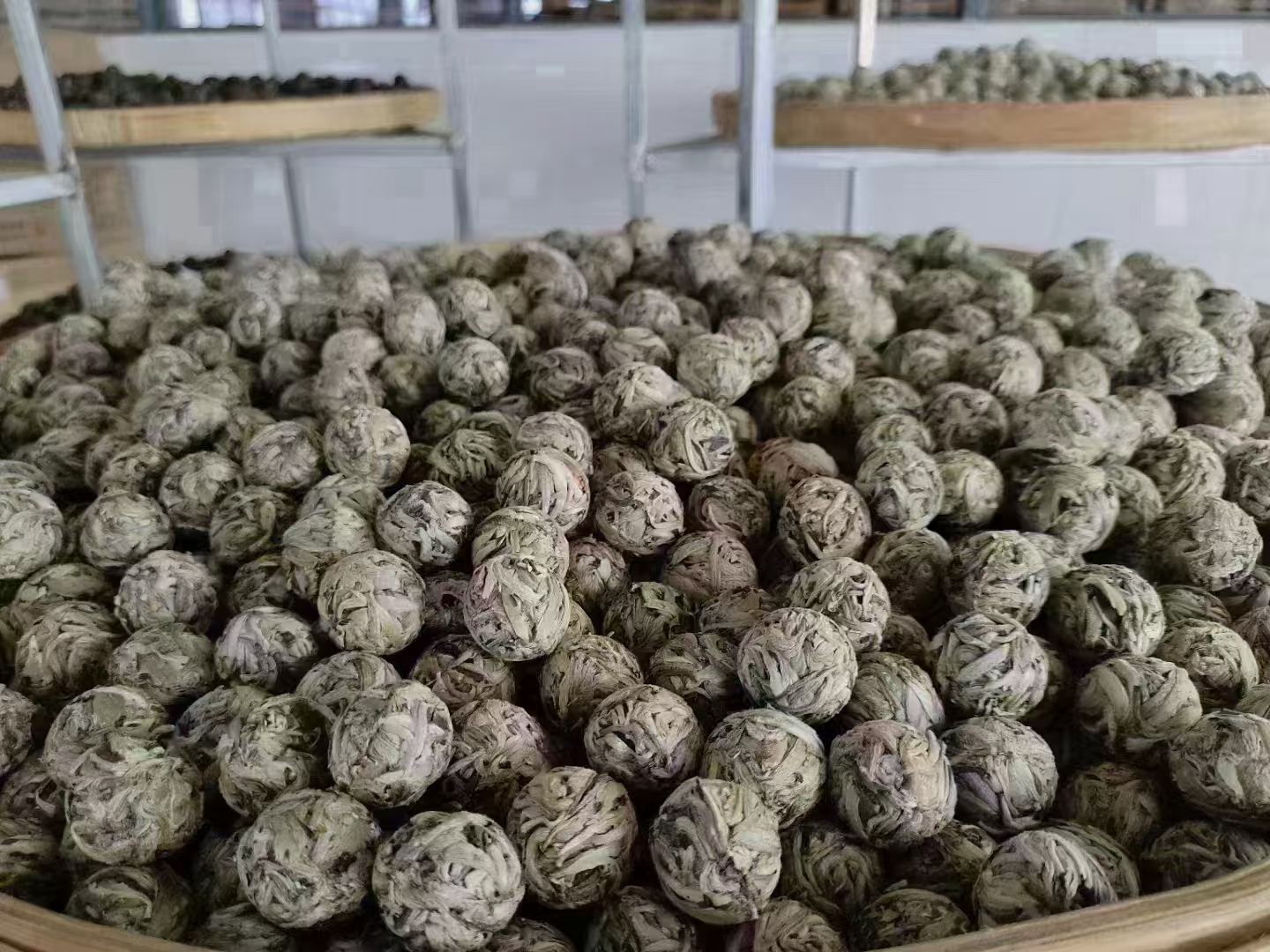 Baihao Yinzhen