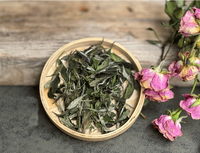 How to Brew White Tea