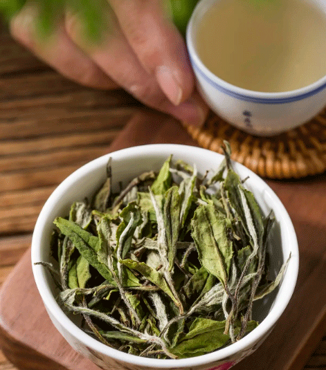 how to brew white tea