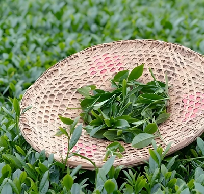 Anxi Tieguanyin tea