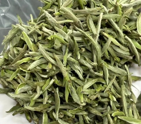 Fuding white tea