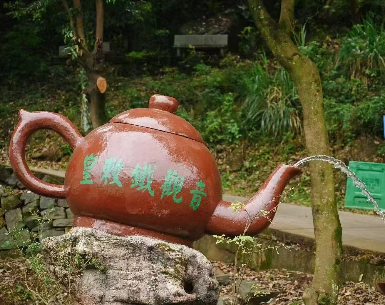 Oolong Tea Weight Loss