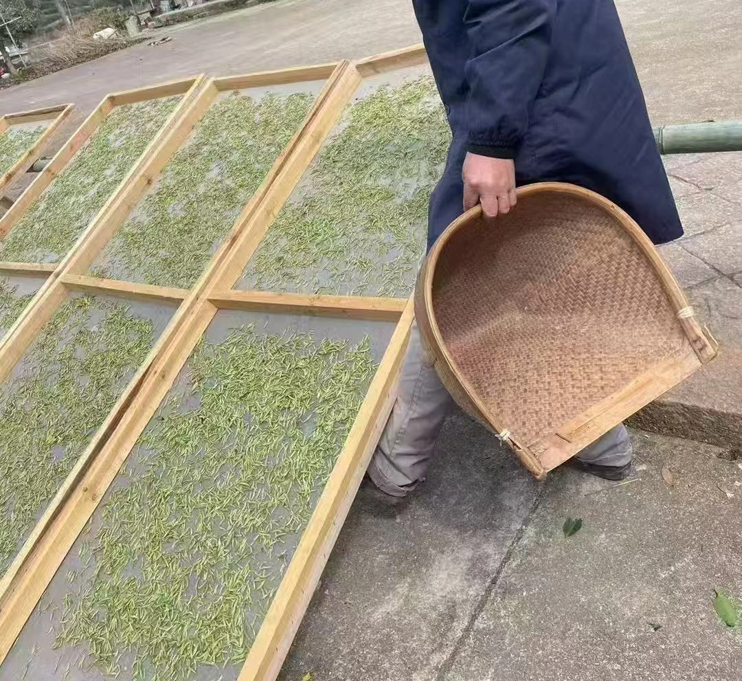 White Tea