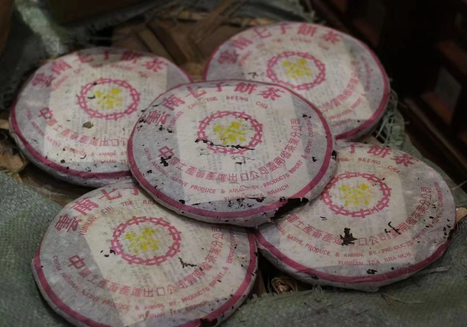aged pu erh tea