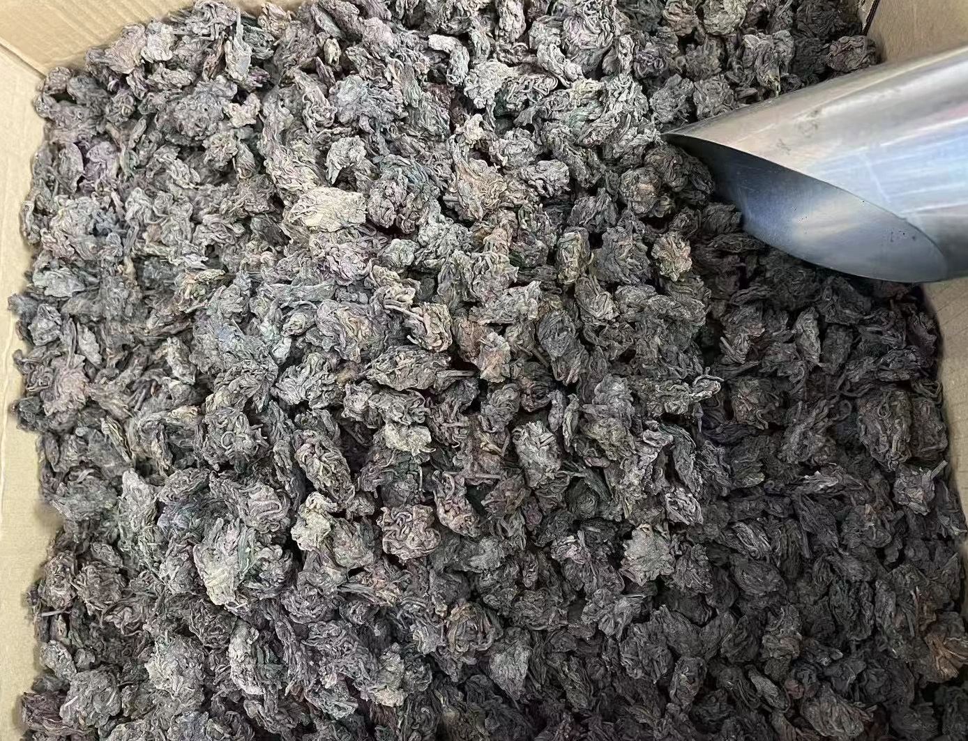 best pu erh tea