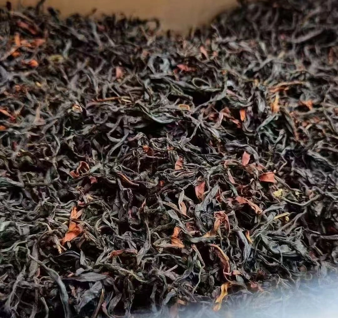 black tea vs oolong tea