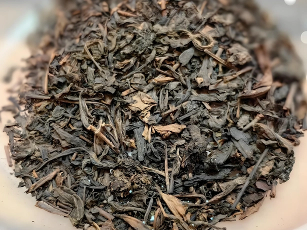 dark tea culture