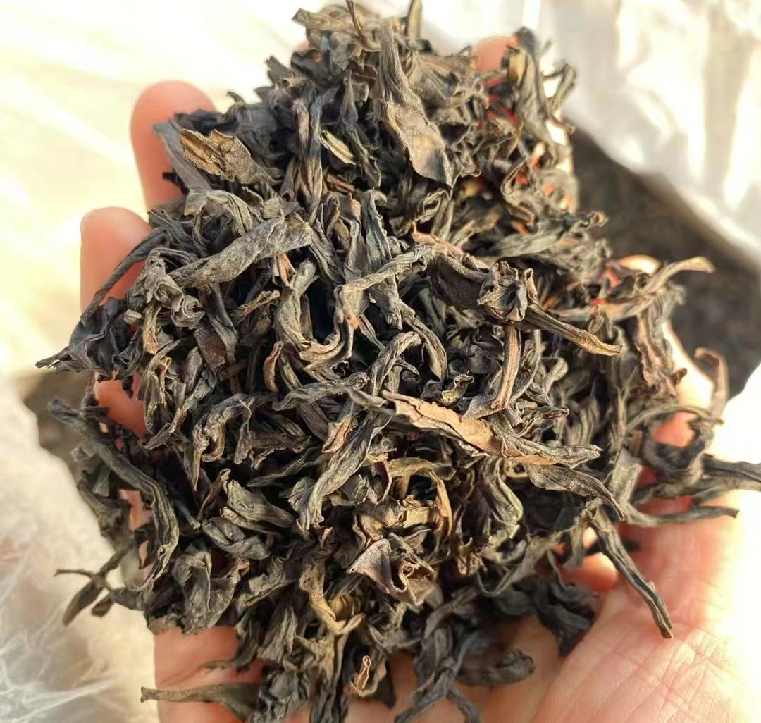oolong tea vs pu-erh tea