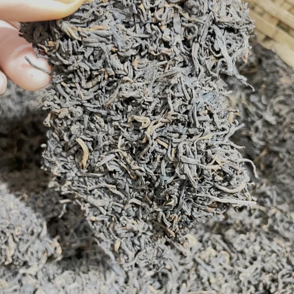 1999 Mu Xiang Premium Liu Bao Black Tea