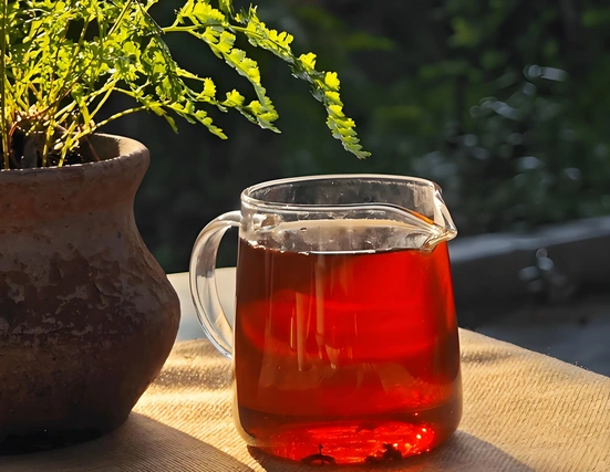 Dark Tea for Gut Health