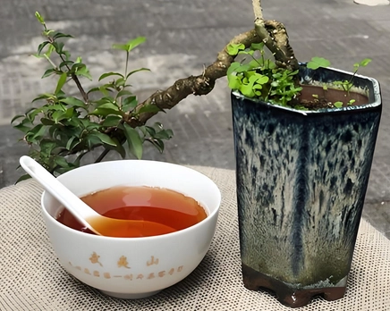 Fujian Oolong Tea