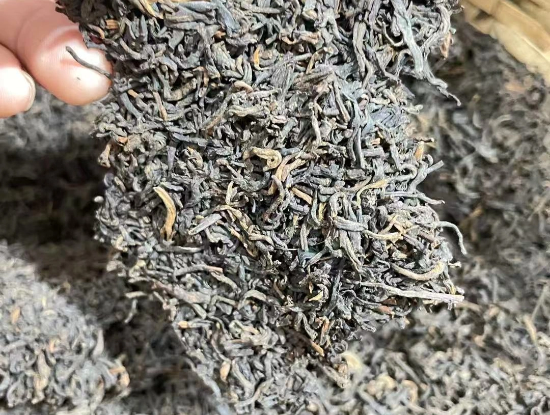 Liubao tea