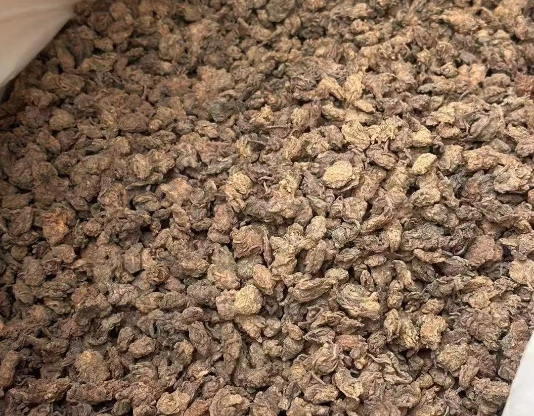 Pu Erh tea and anti-aging