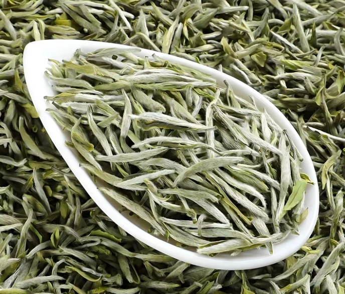 Silver Needle white tea
