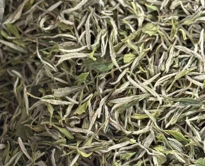 White Peony tea (Bai Mudan)