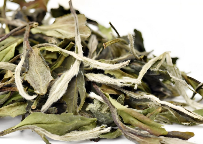 White Tea Detox Benefits