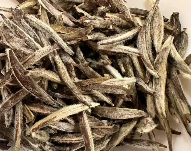 aged white tea