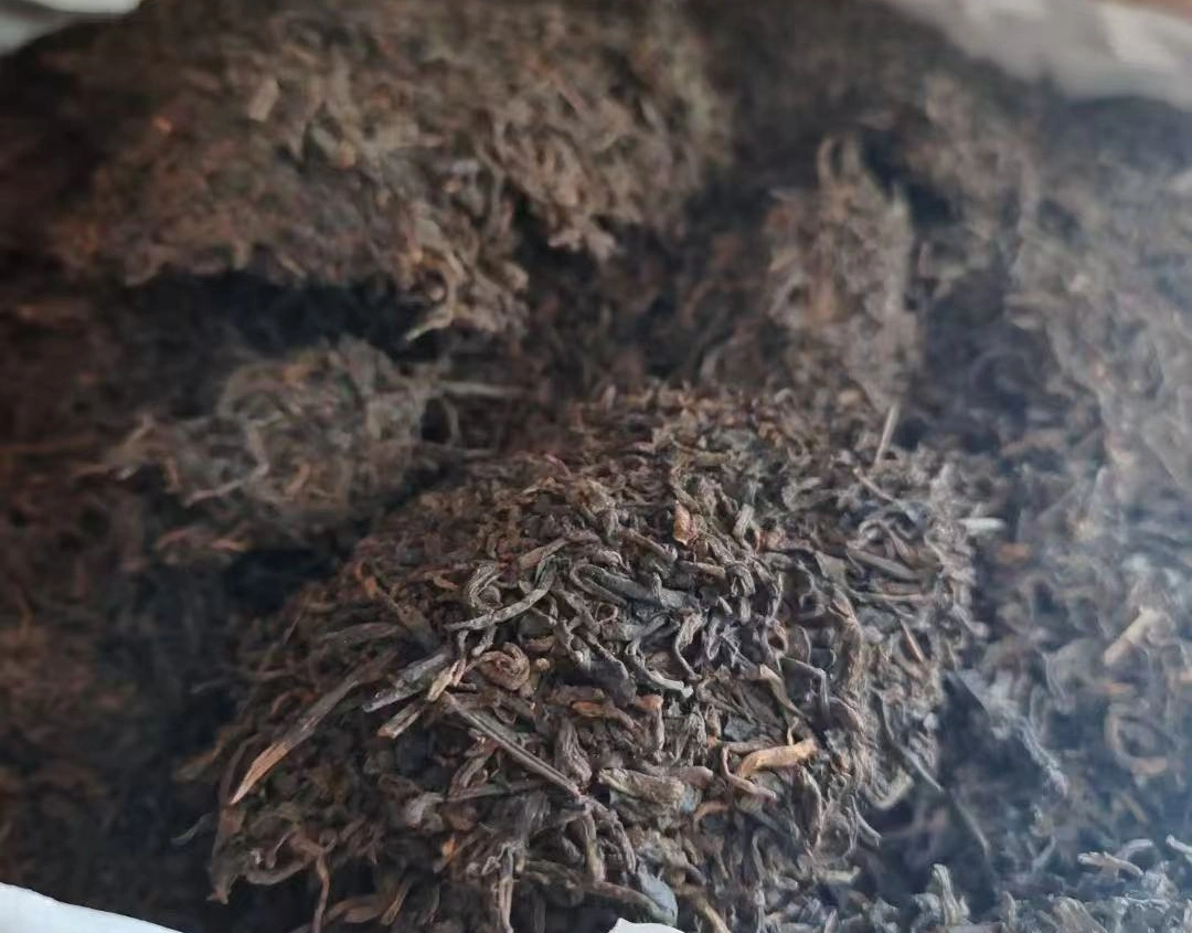 best dark tea for beginners