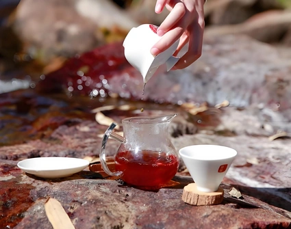 best oolong tea for beginners
