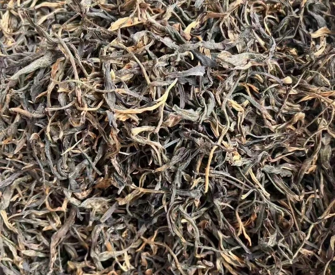 dark tea and liver health
