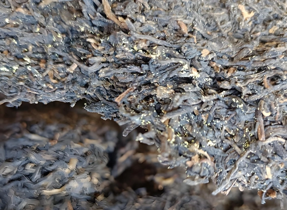 dark tea for diabetes management