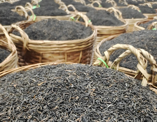 dark tea for health