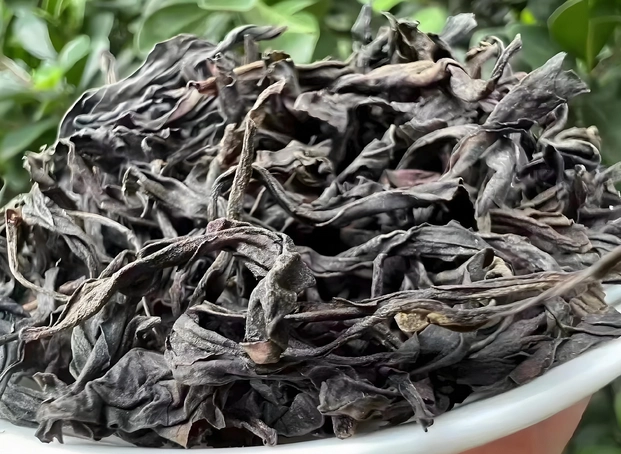 oolong tea for immune system