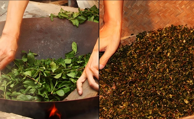 oolong tea in Chinese culture