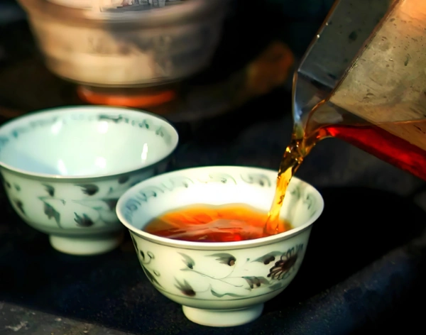 pu erh tea for beginners