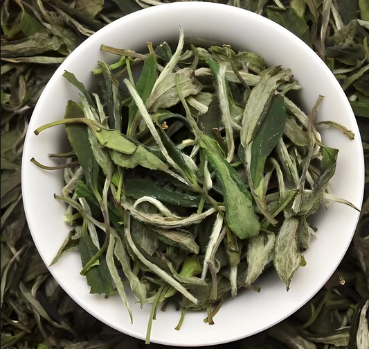 white tea and cholesterol