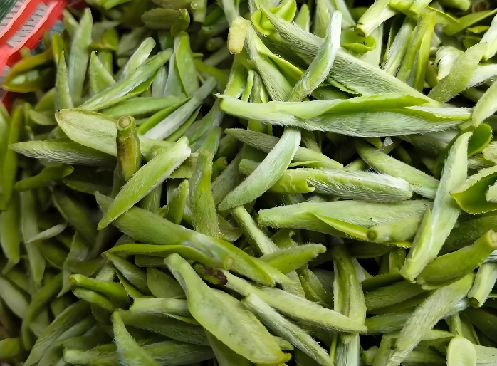 white tea antioxidants