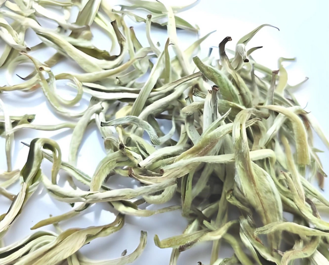white tea as coffee alternative
