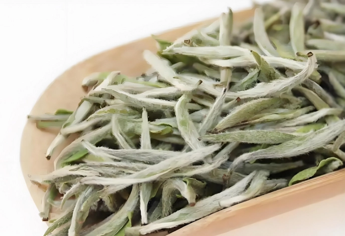 white tea for office workers