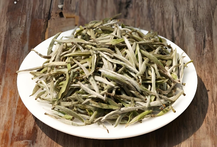 white tea health benefits