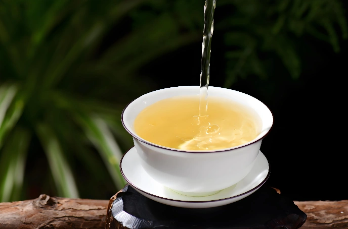 white tea health benefits