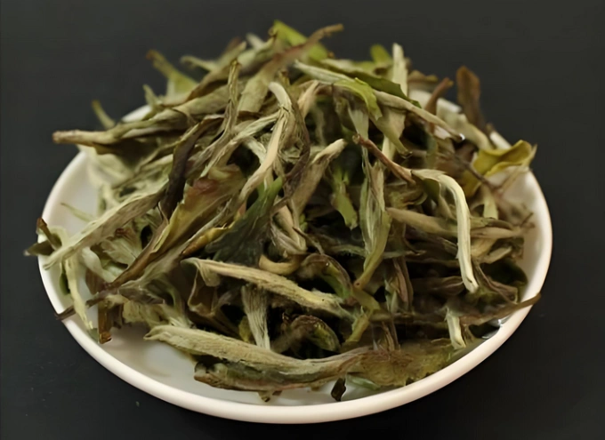 white tea vs black tea