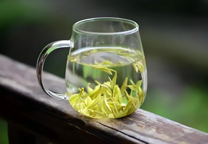 white tea vs black tea