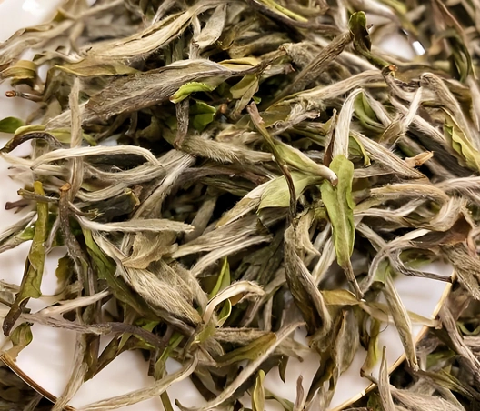 white tea weight loss